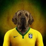 Brazil – Brazilian Mastiff