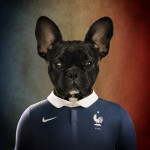 France – French Bulldog