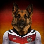 Germany – German Shepherd