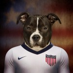 USA – American Staffordshire Terrier